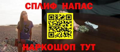 твердый Бердск