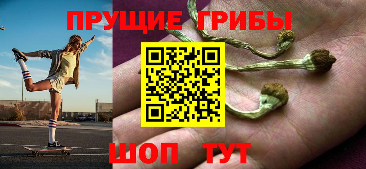 Псилоцибиновые грибы прущие грибы  Вход с VPN  Ухта 